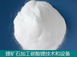 鋰礦石加工碳酸鋰技術(shù)和設(shè)備