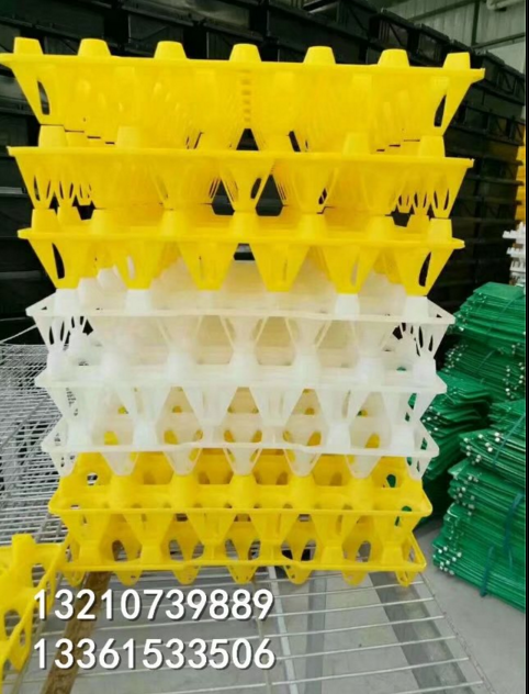 防摔雞蛋筐圖片/防摔雞蛋筐樣板圖 (2)