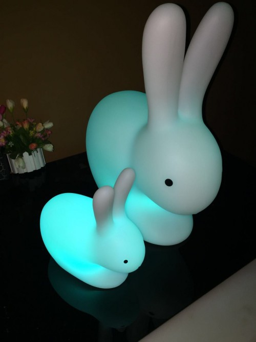 玉兔圖片/玉兔樣板圖 (3)