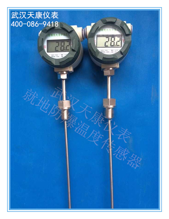 溫度傳感器圖片/溫度傳感器樣板圖 (3)