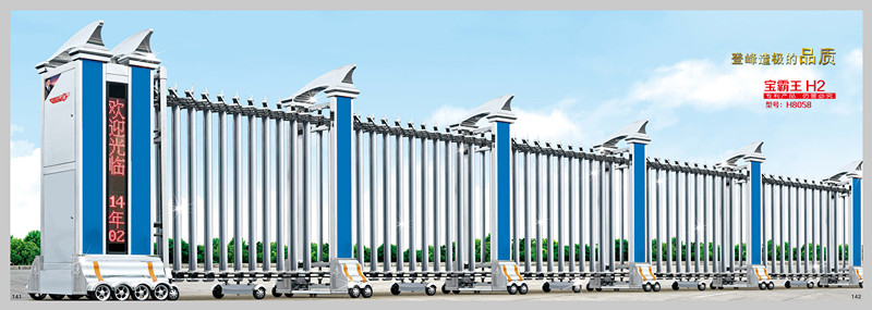 自動伸縮門圖片/自動伸縮門樣板圖 (3)