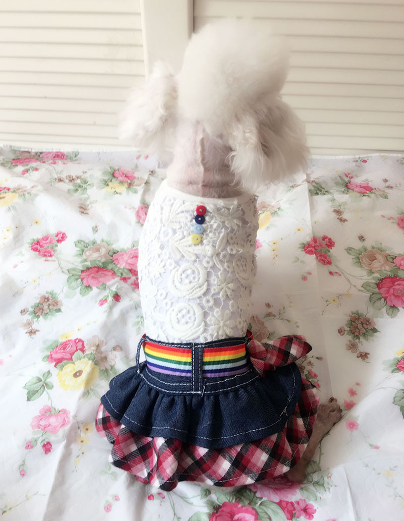 寵物衣服蕾絲圖片/寵物衣服蕾絲樣板圖 (1)