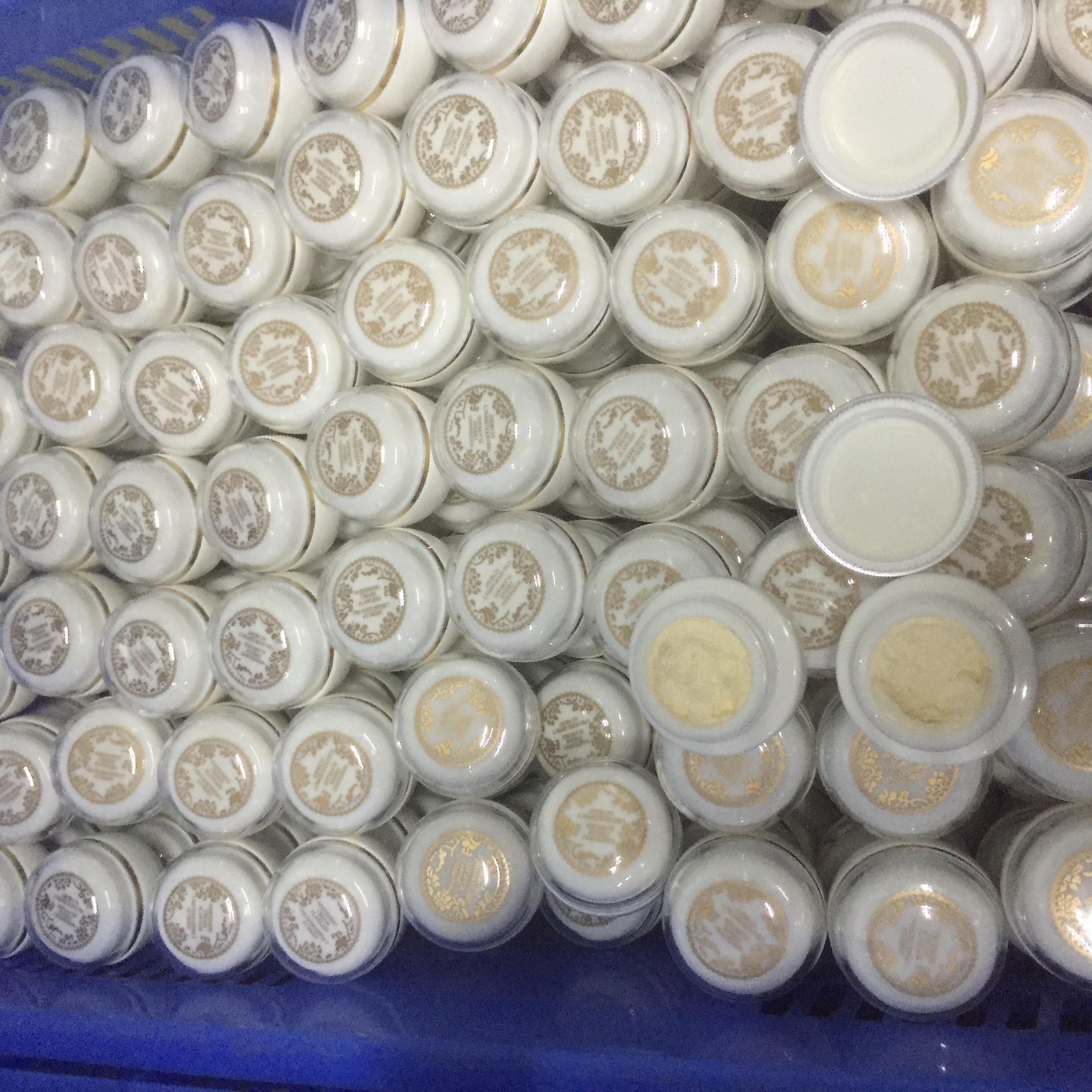 新加坡正版神仙貴婦霜代加工貼牌圖片/新加坡正版神仙貴婦霜代加工貼牌樣板圖 (3)