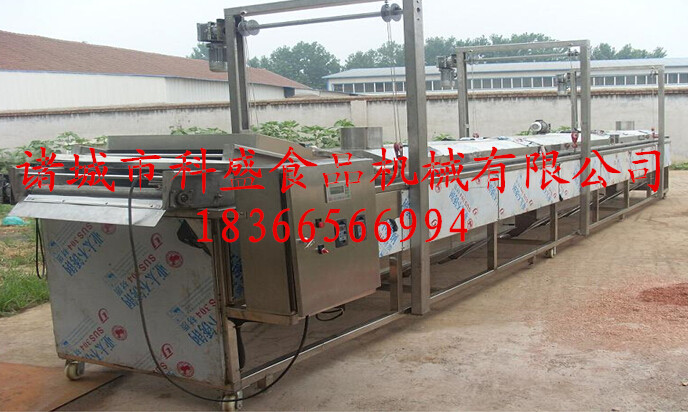 全自動油炸機(jī)流水線制造廠家圖片/全自動油炸機(jī)流水線制造廠家樣板圖 (1)