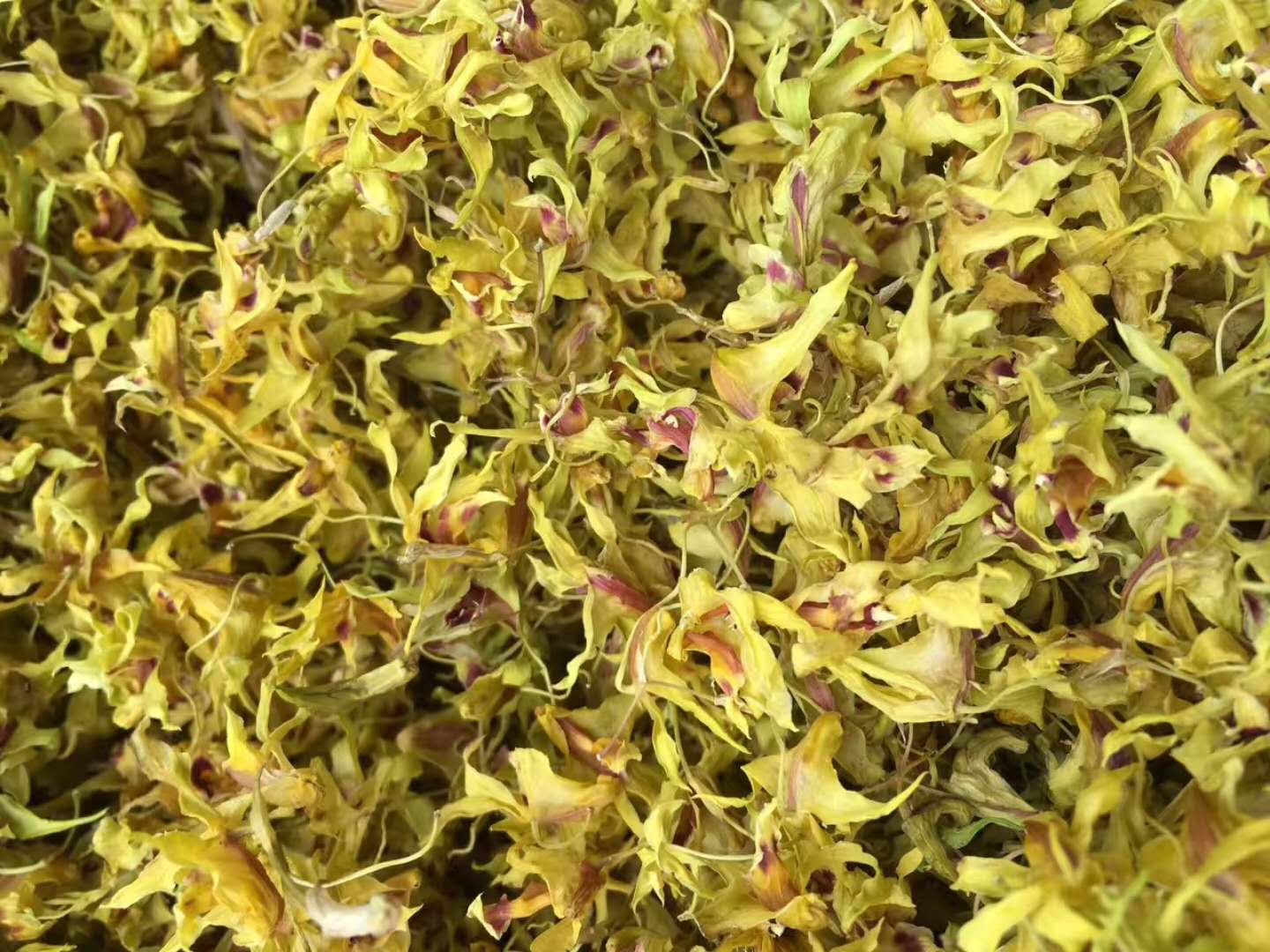 雁蕩山鐵皮石斛花原產(chǎn)地品質(zhì)保證香郁甘甜功效好