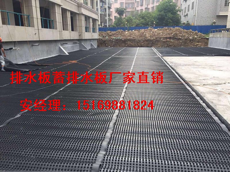 樂山地下室排水板圖片