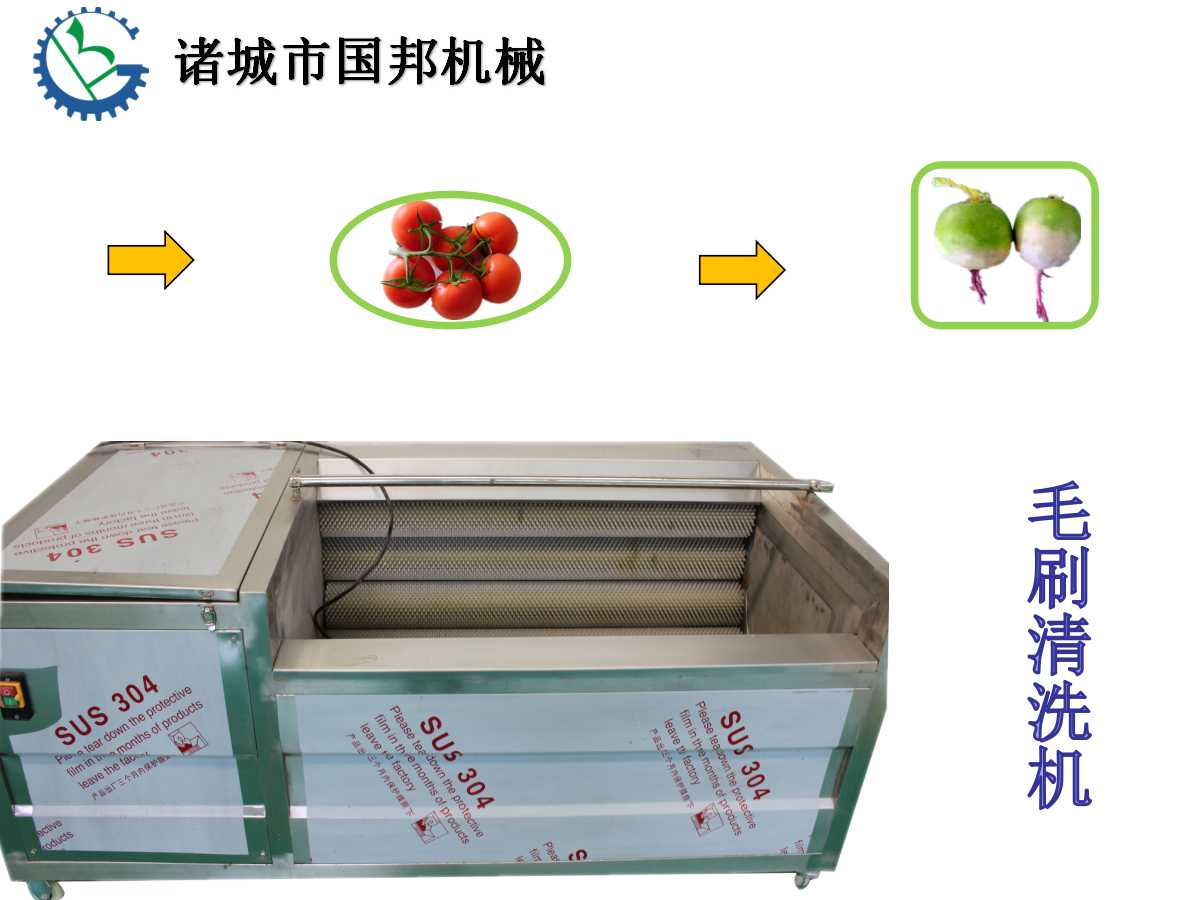 黄瓜毛刷清洗机-果蔬毛刷清洗机图片