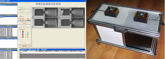 BZY-DGC穿梭实验视频分析系统