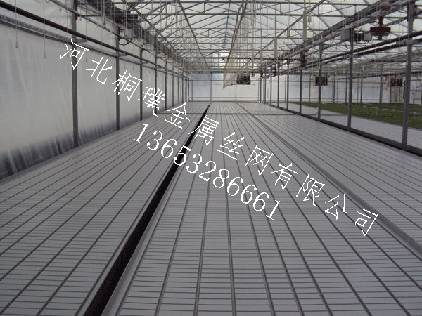 苗床圖片/苗床樣板圖 (3)