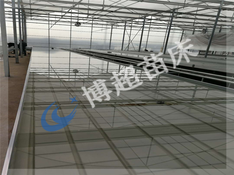 苗床圖片/苗床樣板圖 (4)