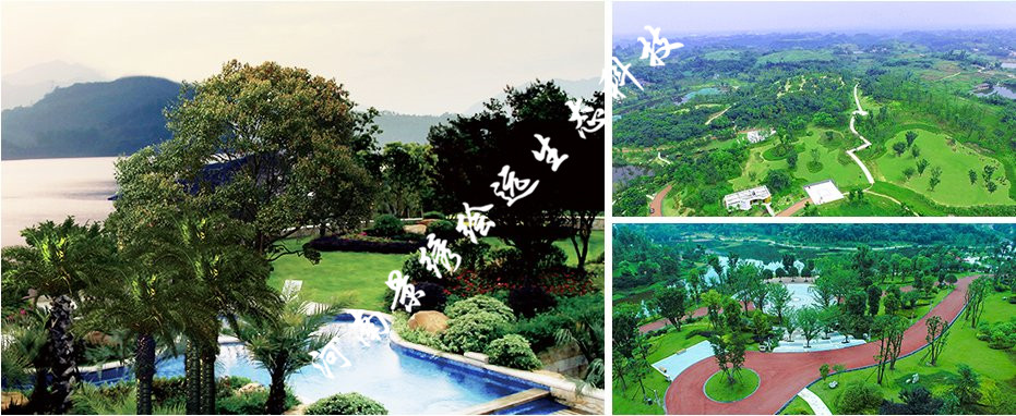 邊坡綠化防護 園林景觀工程施工 客土噴播植草河南景繡邊坡綠化工程