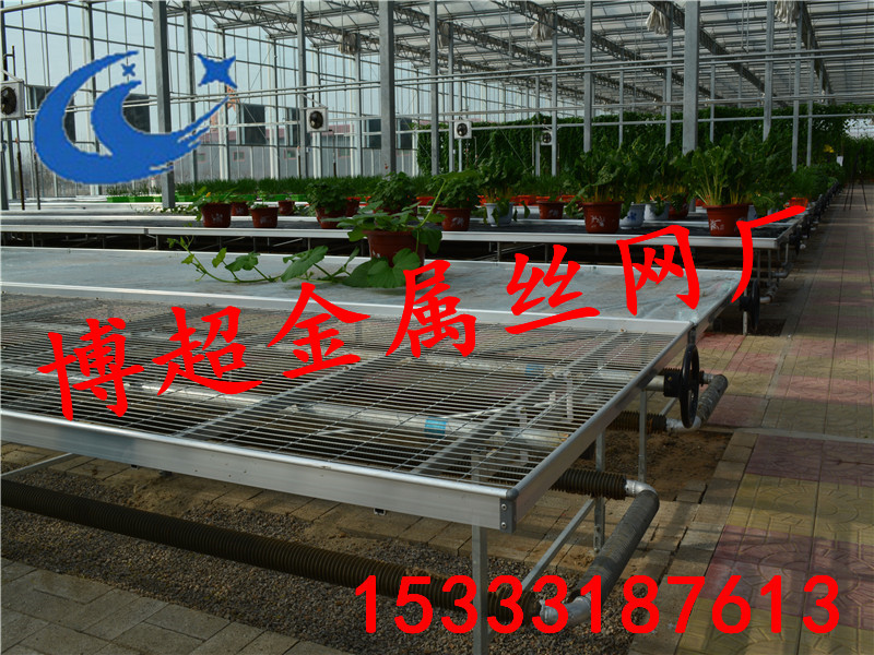 移動(dòng)苗床圖片/移動(dòng)苗床樣板圖 (2)