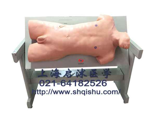 技能訓(xùn)練模型圖片/技能訓(xùn)練模型樣板圖 (2)