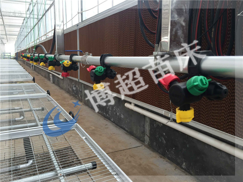 溫室苗床網(wǎng)圖片/溫室苗床網(wǎng)樣板圖 (4)