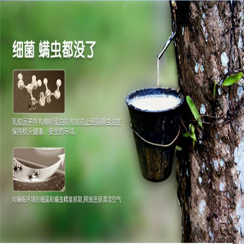 廠家現(xiàn)貨 天然乳膠 優(yōu)質(zhì)環(huán)保天然圖片
