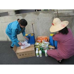 滅鼠蚊蠅蟑螂圖片/滅鼠蚊蠅蟑螂樣板圖 (4)