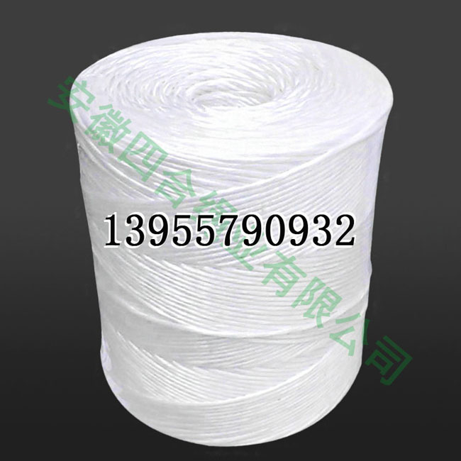 PE打捆繩圖片/PE打捆繩樣板圖 (1)