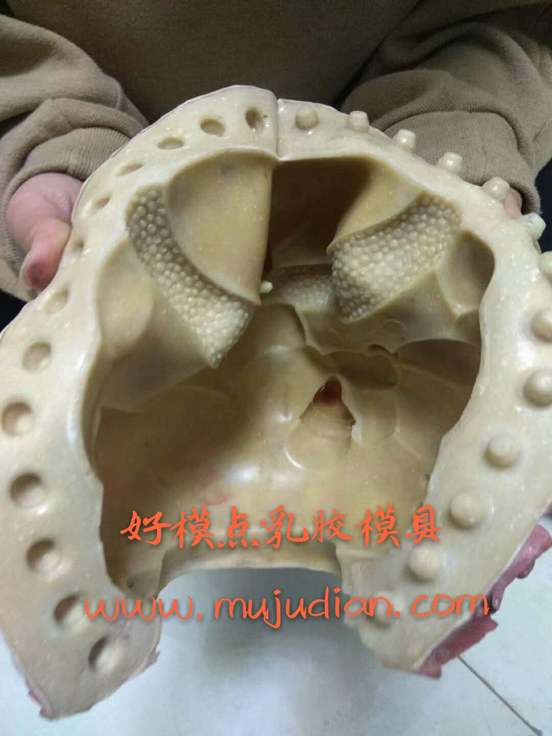 diy石膏像模具圖片/diy石膏像模具樣板圖 (2)