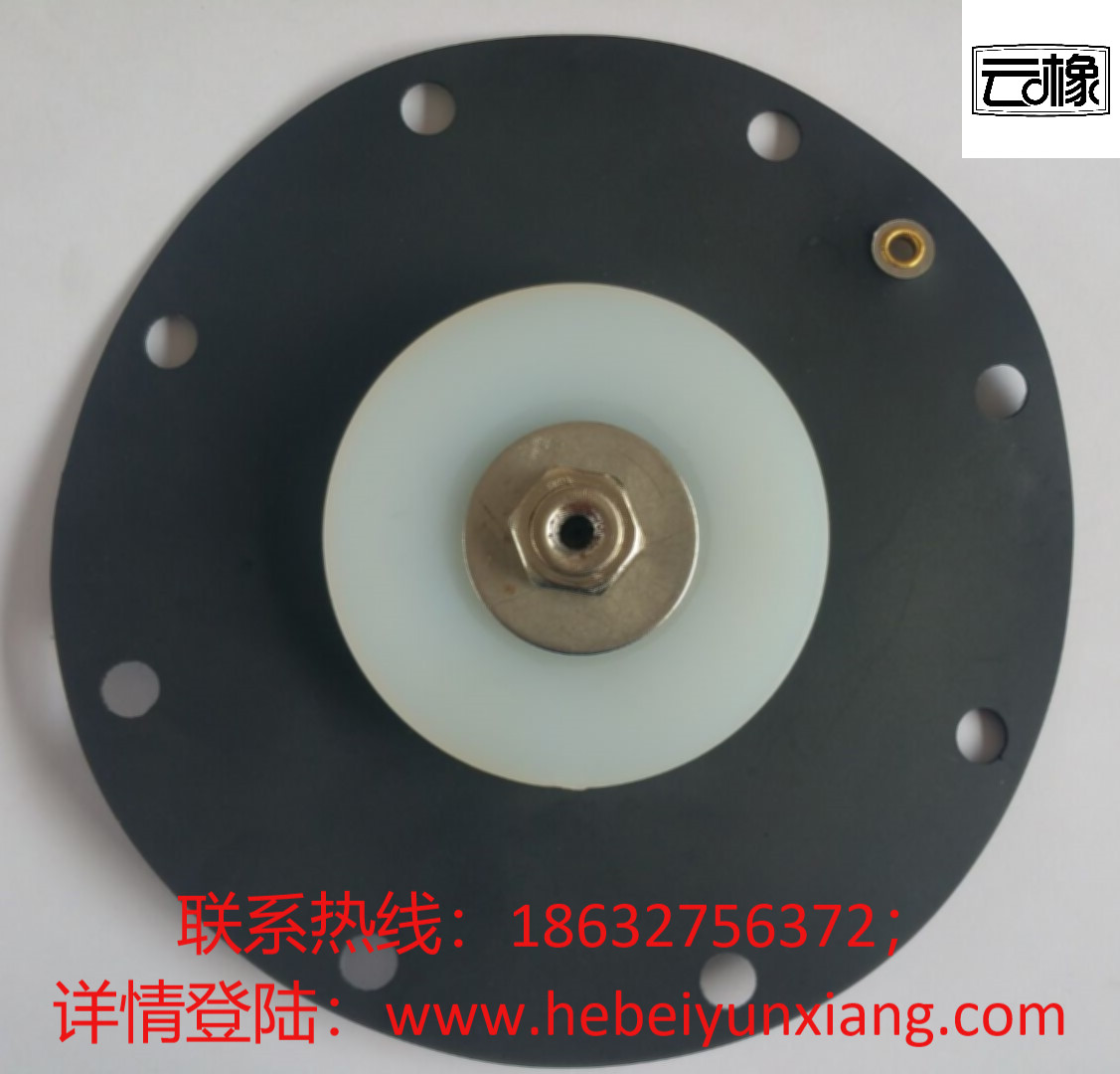 電磁脈沖閥膜片圖片/電磁脈沖閥膜片樣板圖 (3)