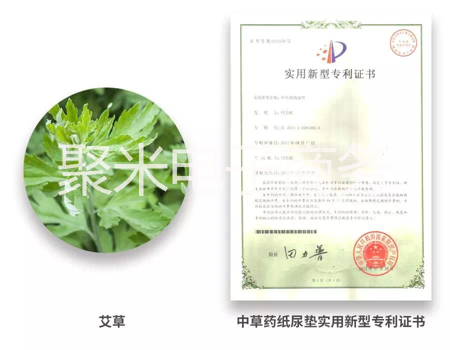 艾草圖片/艾草樣板圖 (4)
