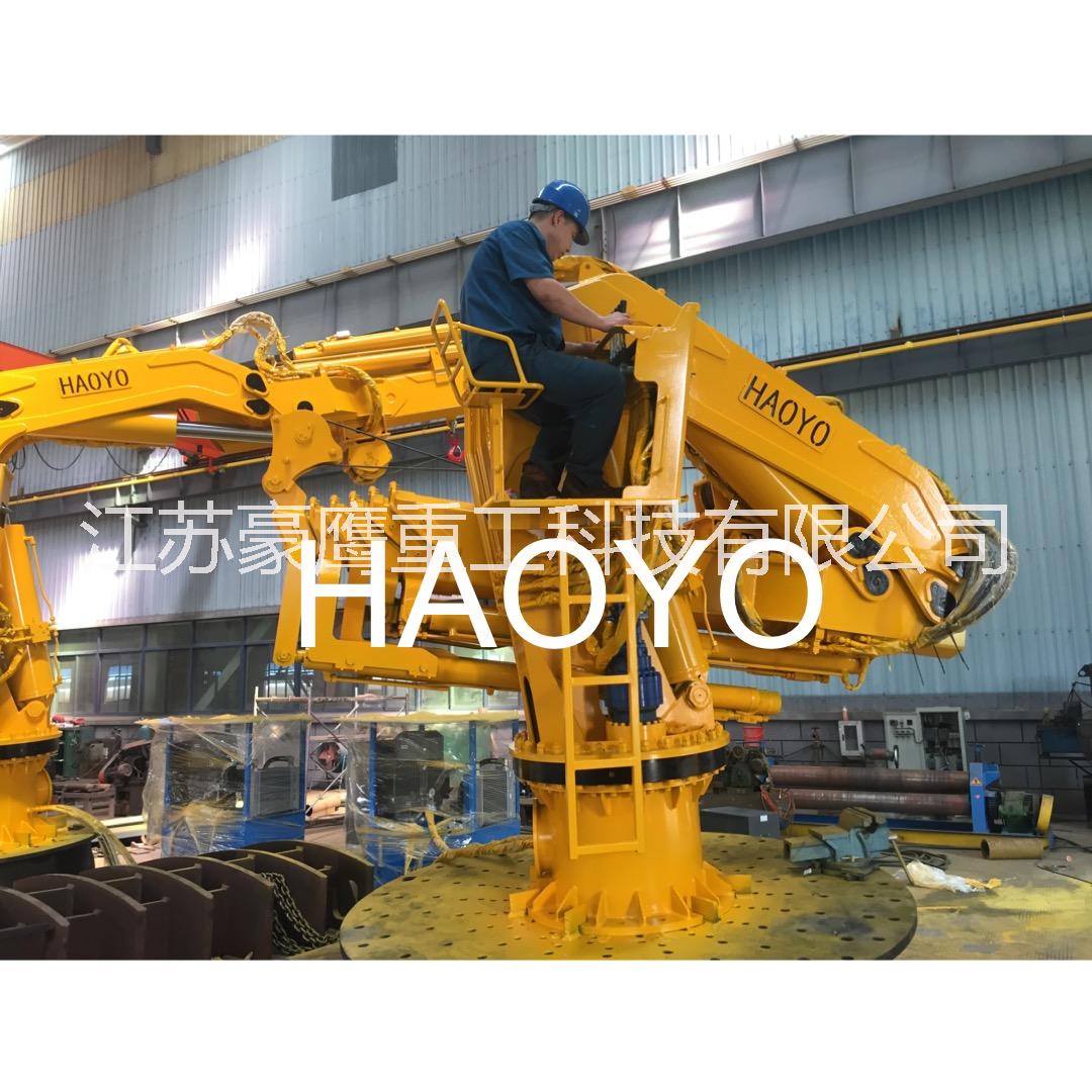 船用直臂起重機(jī)圖片/船用直臂起重機(jī)樣板圖 (2)