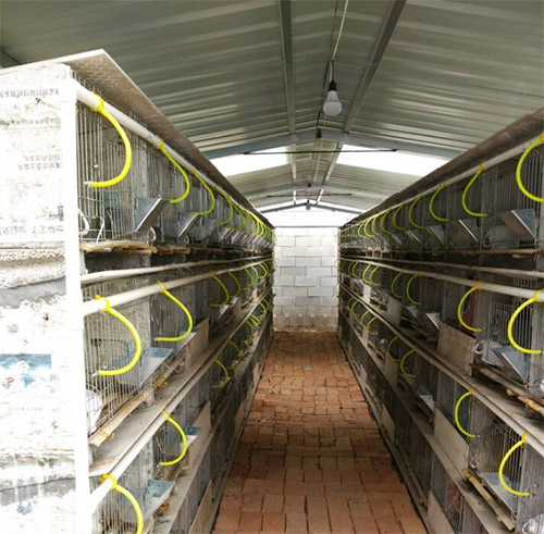 水泥兔籠圖片/水泥兔籠樣板圖 (2)