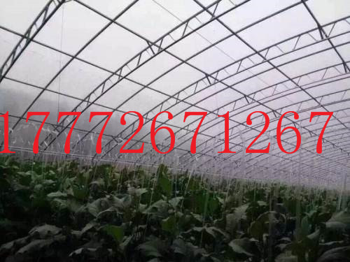 鍍鋅帶雙膜骨架溫室大棚圖片/鍍鋅帶雙膜骨架溫室大棚樣板圖 (4)