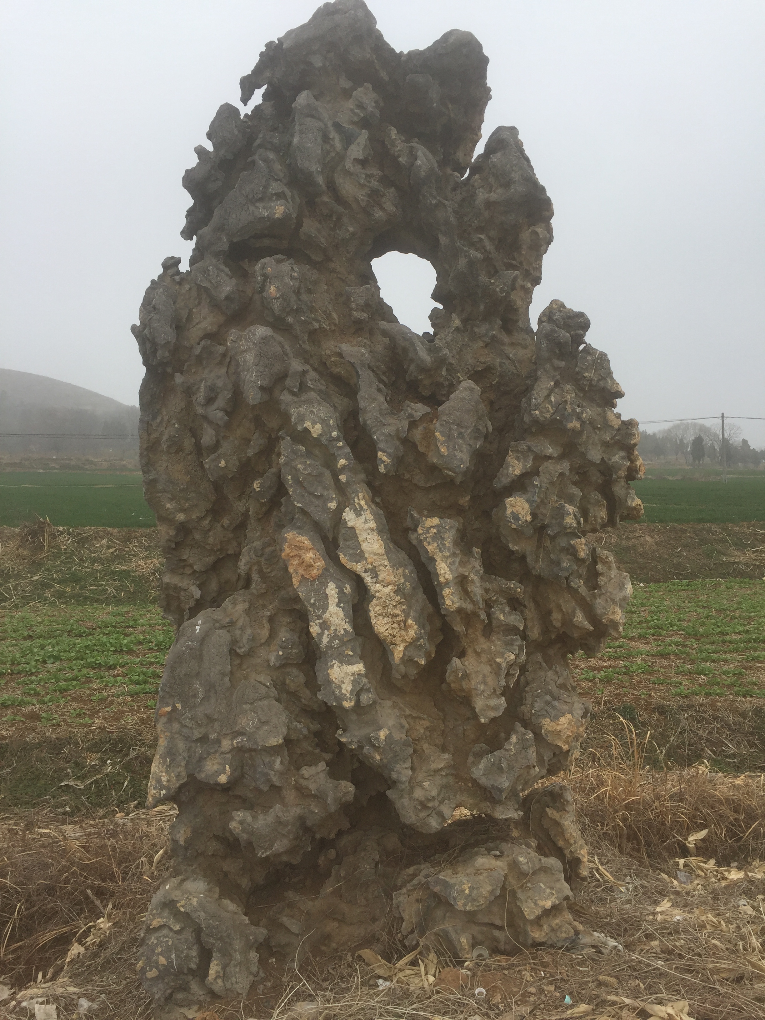 園林景觀石圖片/園林景觀石樣板圖 (4)