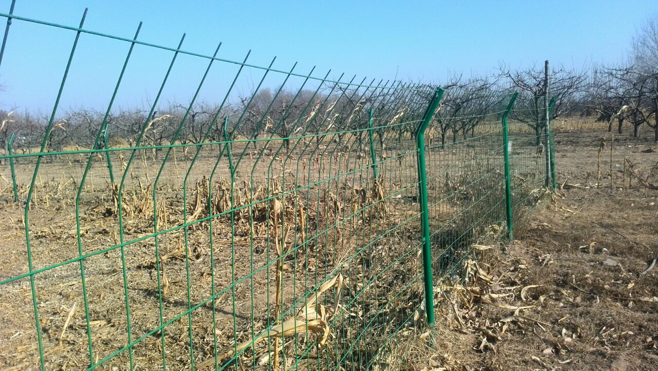 公路護(hù)欄網(wǎng) 公路雙邊絲護(hù)欄網(wǎng)果園圍欄網(wǎng) 公路雙邊絲護(hù)欄網(wǎng)車(chē)間隔離柵