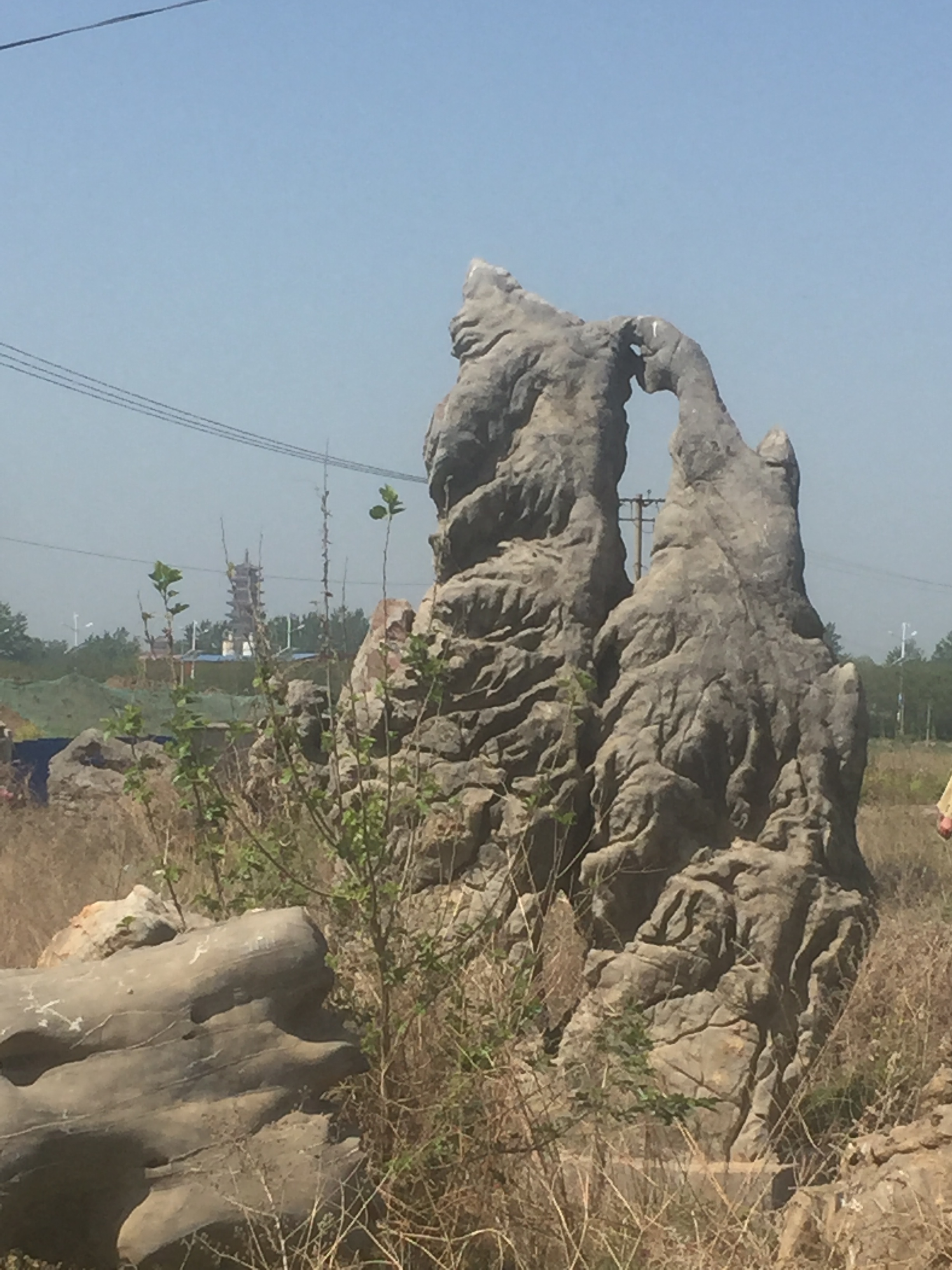 蘇州園林景觀石批發(fā)，園林景觀石批發(fā)廠(chǎng)家，批發(fā)園林景觀石