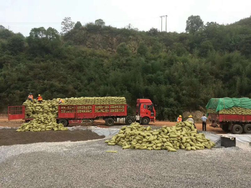 建筑回填陶粒岳阳陶粒大量现货 建筑回填陶粒