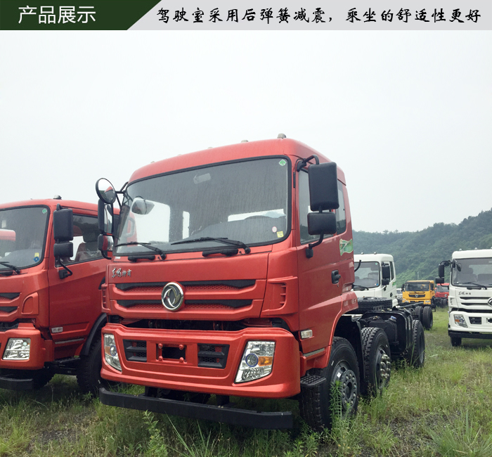 東風(fēng)前四后八輕量化自卸車圖片