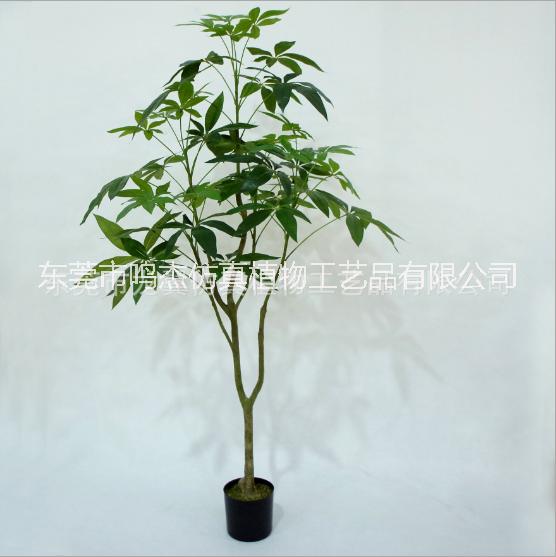 發(fā)財樹松盆室內(nèi)仿真綠植樹景觀裝飾 發(fā)財樹直銷 發(fā)財樹出廠價 發(fā)財樹報價 東莞發(fā)財樹 發(fā)財樹供應(yīng)商 仿真發(fā)財樹PC097