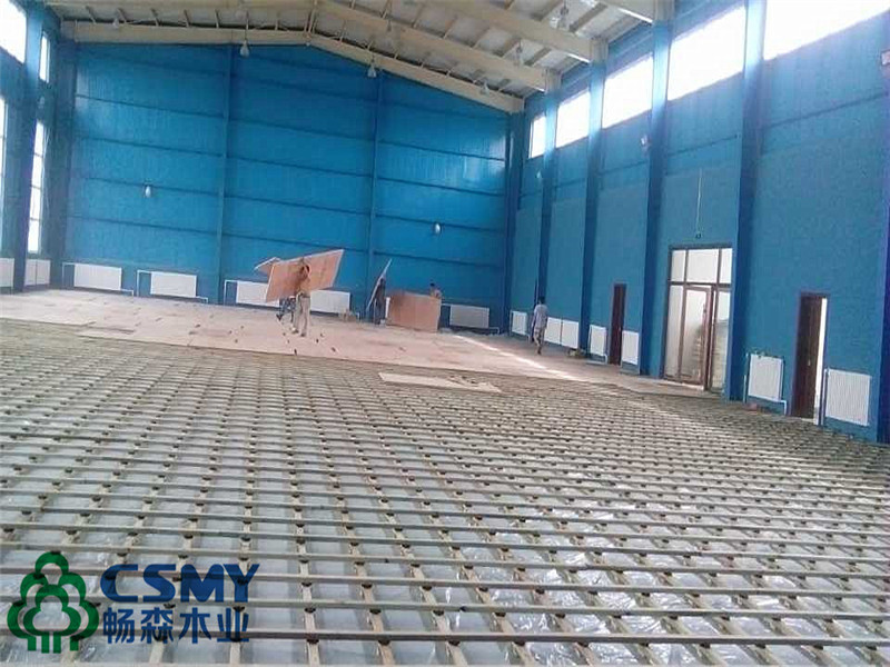 運(yùn)動地板圖片/運(yùn)動地板樣板圖 (4)