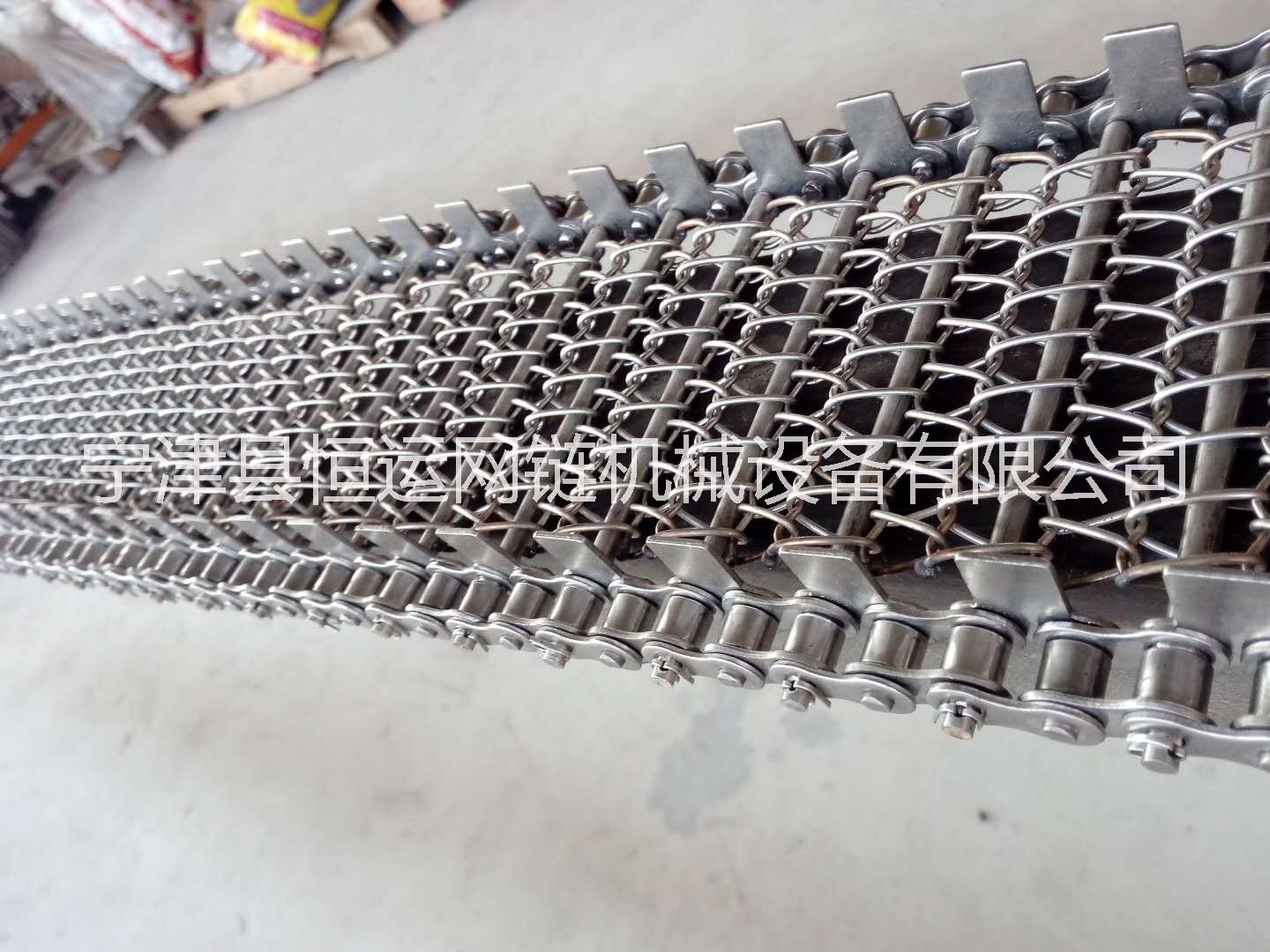 優(yōu)質(zhì)輸送網(wǎng)鏈圖片/優(yōu)質(zhì)輸送網(wǎng)鏈樣板圖 (2)