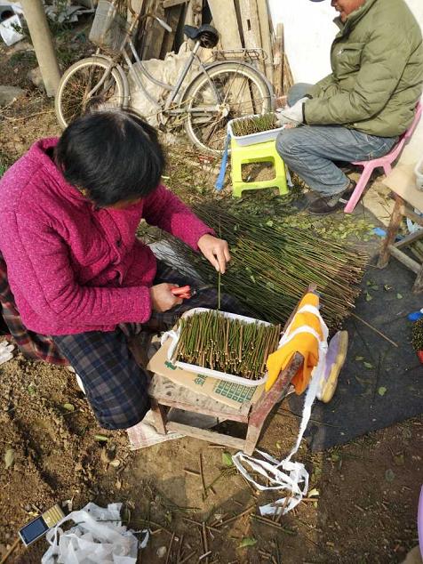 新沂市轩轩生猪养殖专业合作社