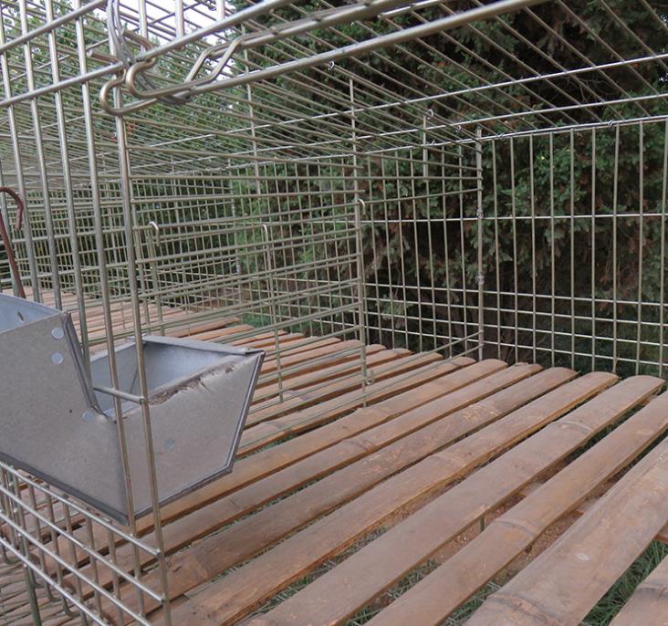 竹底板圖片/竹底板樣板圖 (4)