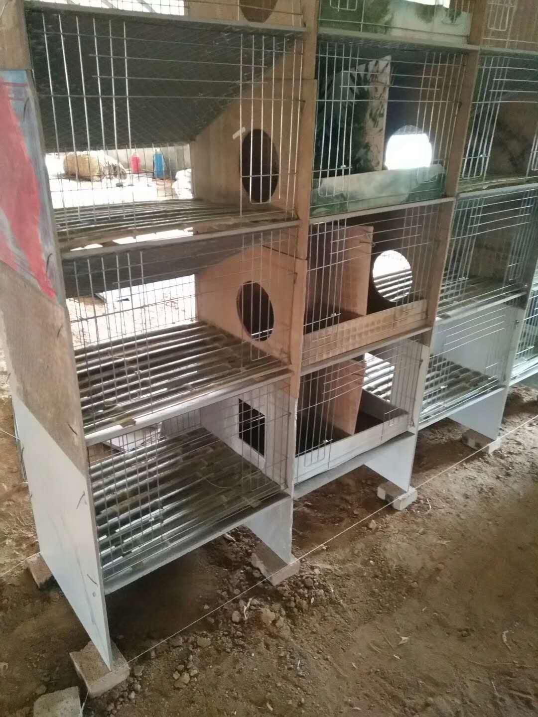 四層瓷磚兔籠兔舍兔窩廠家直供圖片