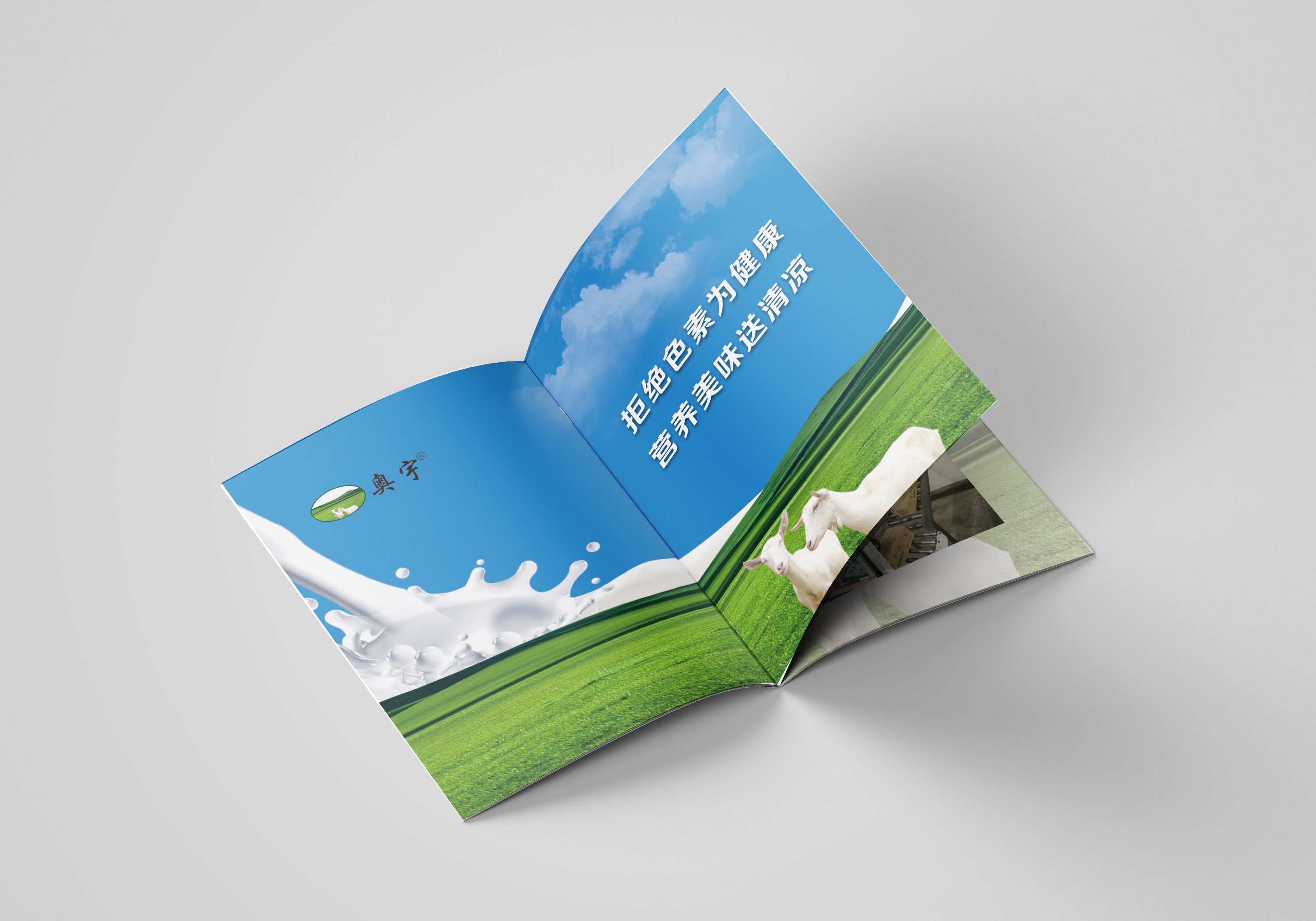 畫冊設(shè)計(jì)圖片/畫冊設(shè)計(jì)樣板圖 (2)