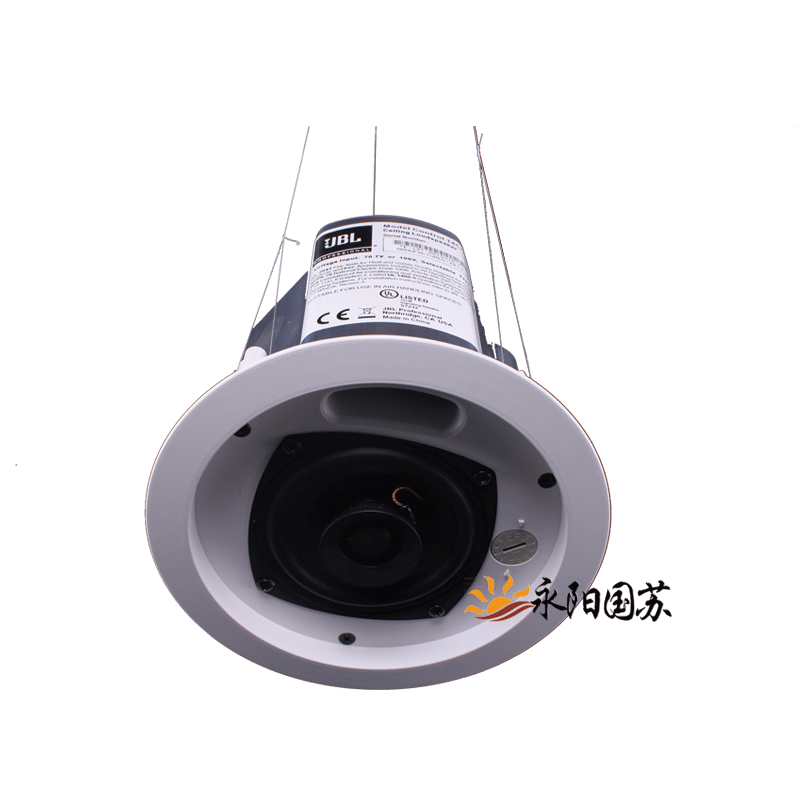 同軸天花吸頂喇叭音箱廠家圖片/同軸天花吸頂喇叭音箱廠家樣板圖 (3)