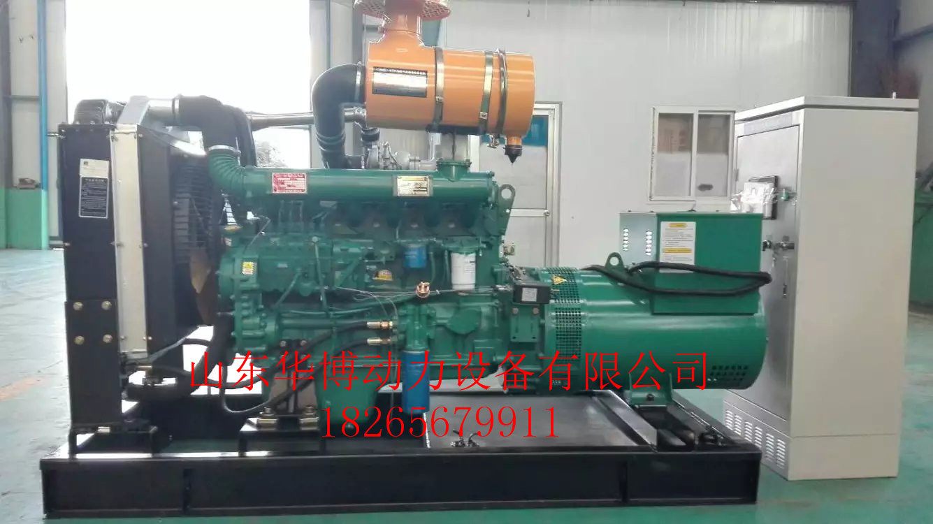 100KW發(fā)電機(jī)圖片/100KW發(fā)電機(jī)樣板圖 (2)