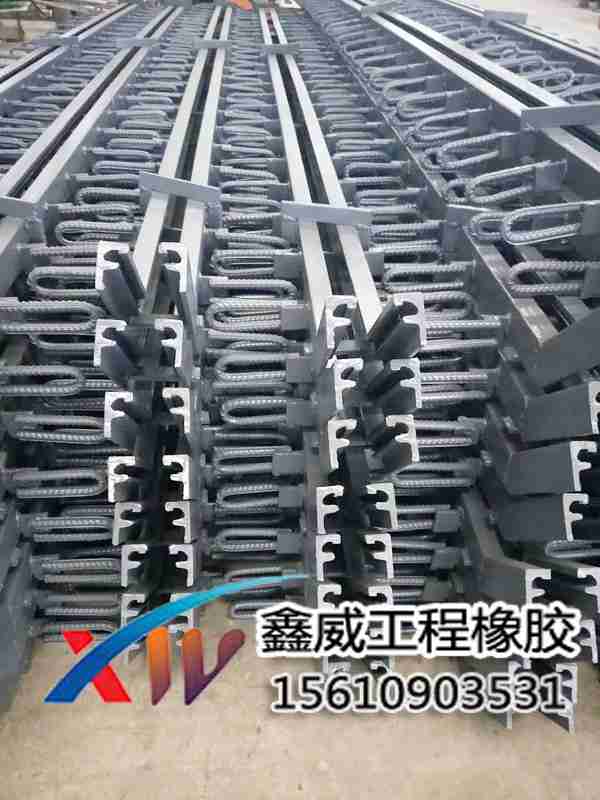 公路橋梁伸縮縫圖片/公路橋梁伸縮縫樣板圖 (1)