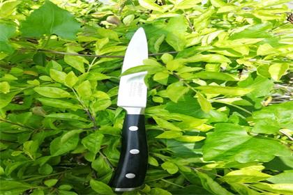 注意事項圖片/注意事項樣板圖 (2)