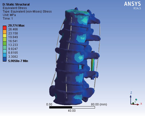 分析圖片/分析樣板圖 (1)
