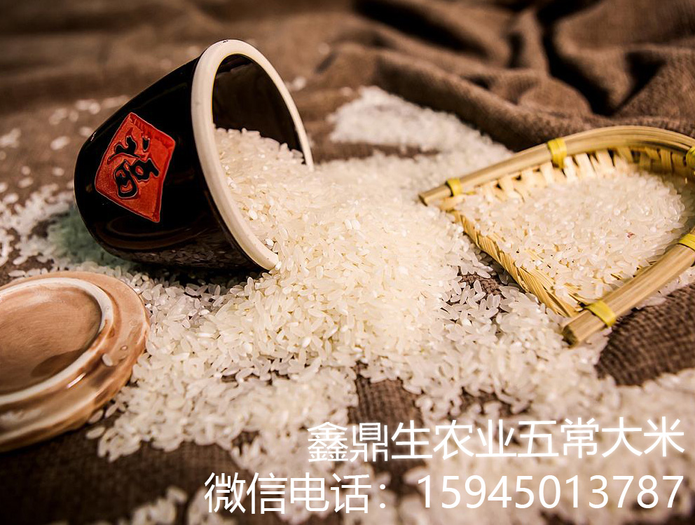 稻花香大米圖片/稻花香大米樣板圖 (4)