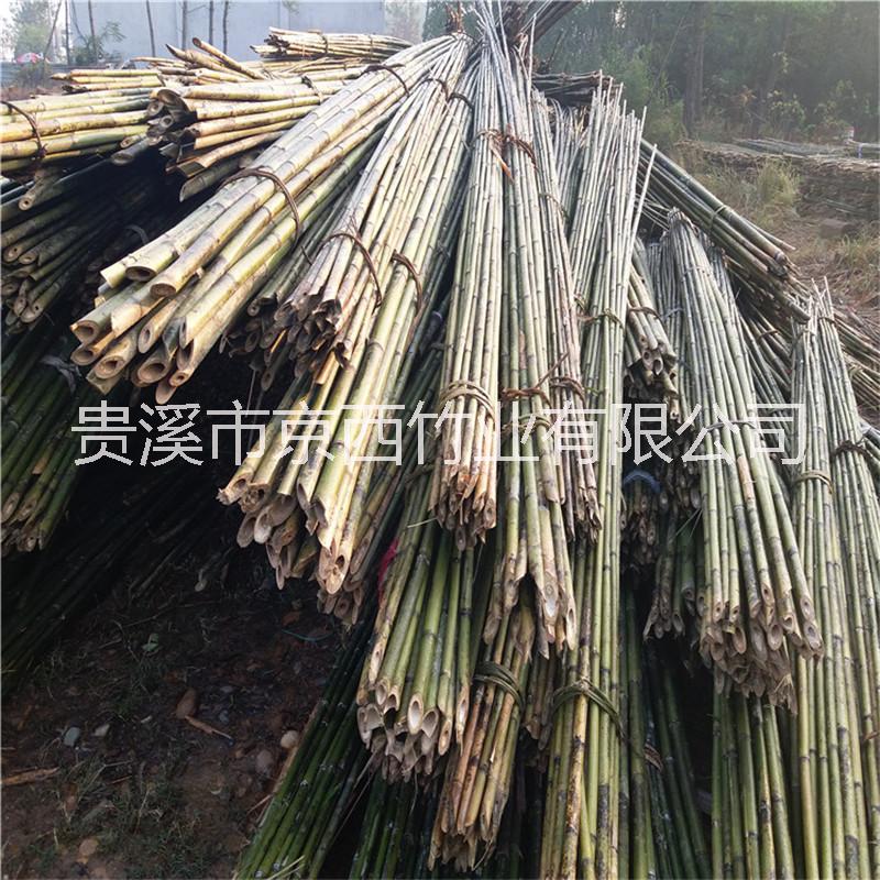 厂家大量批发2米-6米小山竹图片