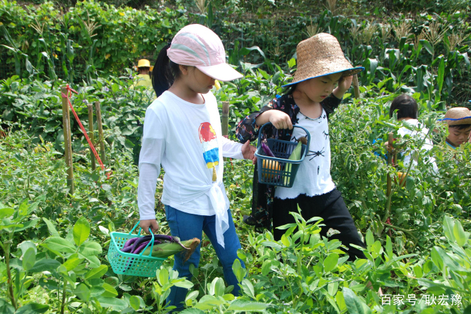 深圳市深圳三八妇女节厂家