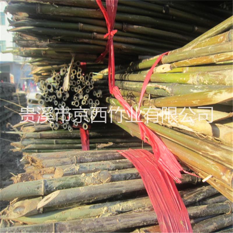 2米5竹竿價格圖片/2米5竹竿價格樣板圖 (1)