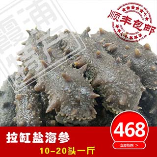 霞浦特產(chǎn)拉缸鹽海參