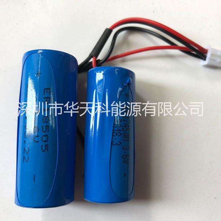 鋰亞電池圖片/鋰亞電池樣板圖 (2)